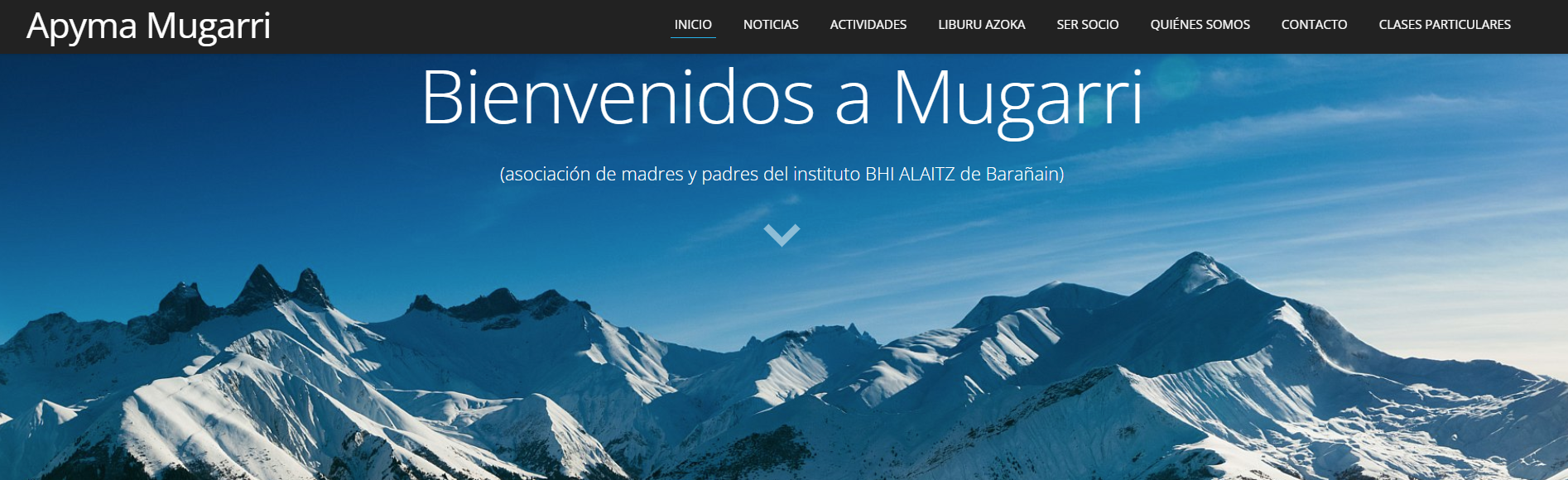 Ir al sitio web